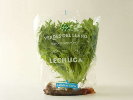 Lechuga