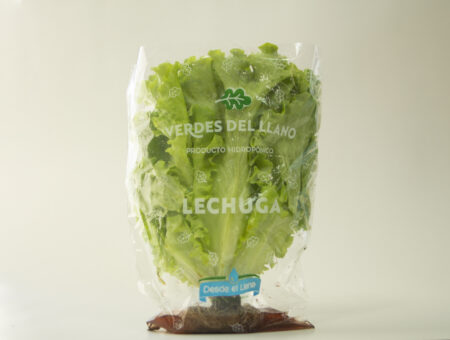 Lechuga crespa